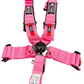 SPDZ1 SFI Seat Belt Harness 5 Point Cam Lock