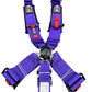 SPDZ1 SFI Seat Belt Harness 5 Point Cam Lock