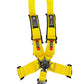 SPDZ1 SFI Seat Belt Harness 5 Point Cam Lock