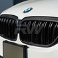 BMW G30 DUAL SLAT CARBON FIBER GRILLES