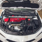 Acura Integra Type S And A Spec DE5 Carbon Fiber Radiator Cooling Plates 2023 - Current