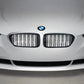 ABS Front Grille For 2017-2020 BMW G30 530i/ 540i/ M550i | Palenon Performance