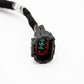 SPDZ1 RB25DET Series 2 Coil Pack Harness - OEM SERIES