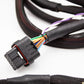 FuelTech FT450 Engine Harness – K20 / K24 Street-Spec TXL | VTI