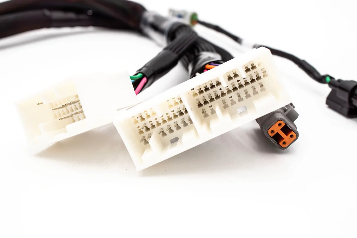 Haltech Elite 1000 / 1500 Plug & Play Adapter – 02-04 Honda K-Series RSX / EP3 | VTI