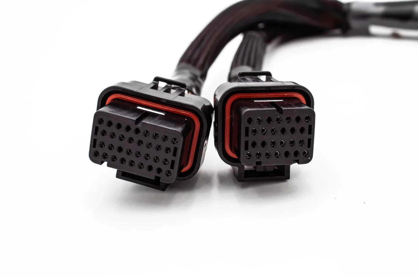 Haltech Elite 1000 / 1500 Plug & Play Adapter – 02-04 Honda K-Series RSX / EP3 | VTI