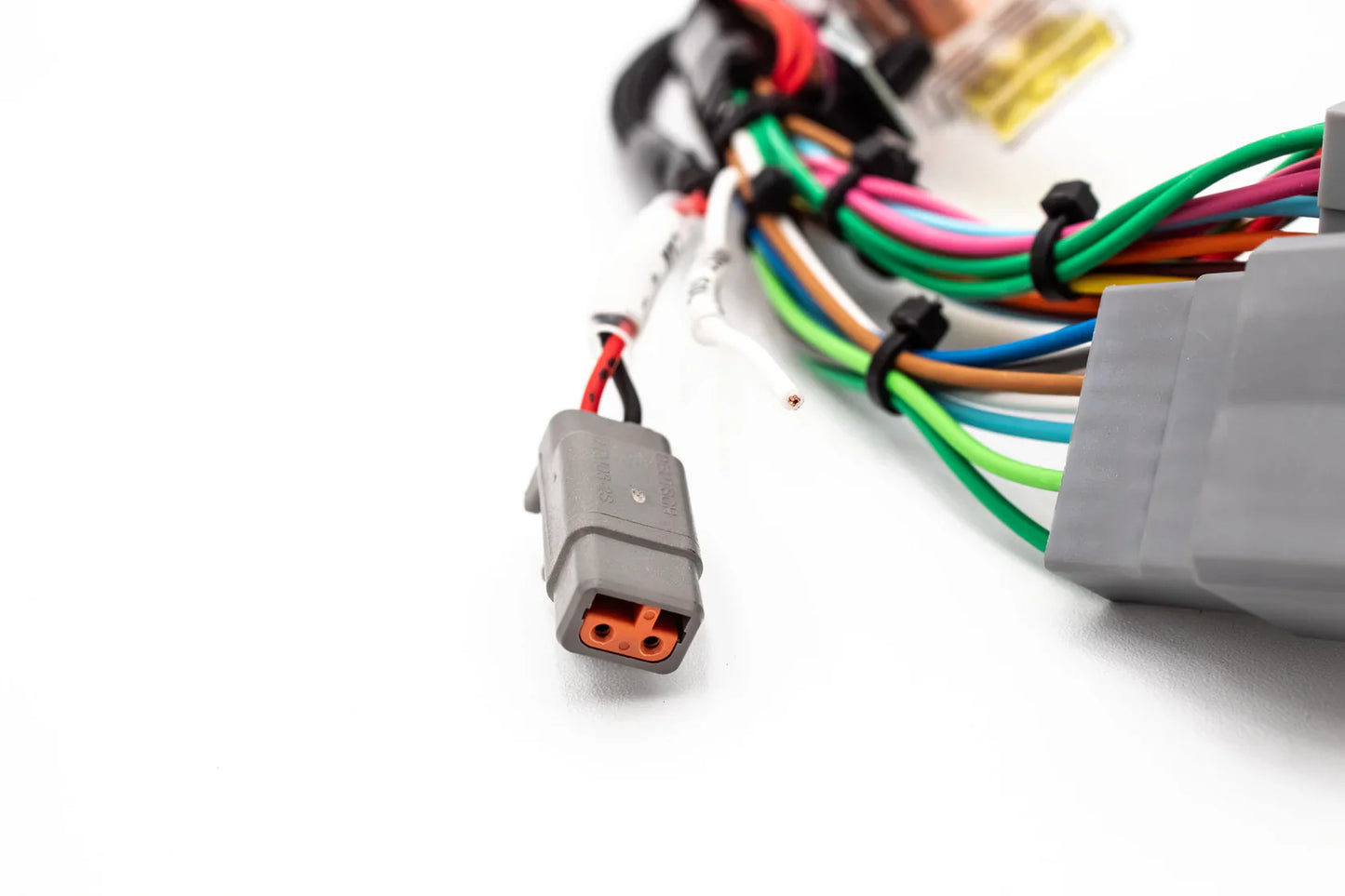 Haltech Elite 550 / 750 Plug & Play Adapter – Honda OBD1 B / D / H-Series | VTI