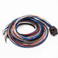 FuelTech FT450 / FT550 Unterminated Wiring Harness – A Connector