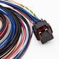 FuelTech FT450 / FT550 Unterminated Wiring Harness – A Connector