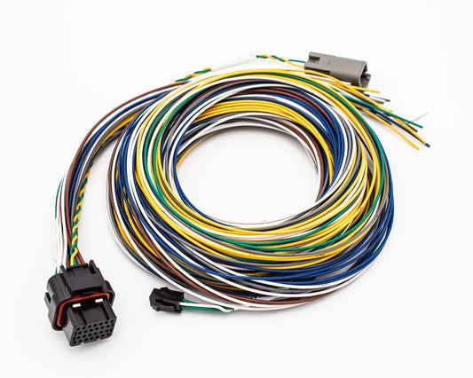 FuelTech FT550 Unterminated Wiring Harness – B Connector