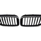 BMW 5 Series G30 Carbon Fiber Front Grille (2017+)
