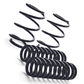 MMX Performance  MINI F-Chassis Lowering Spring Set