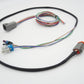 ASE T56 Magnum Transmission Wire Harness