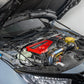 OLM Carbon Fiber Wrapped Hood Struts - 2017-2021 Honda Civic Type R