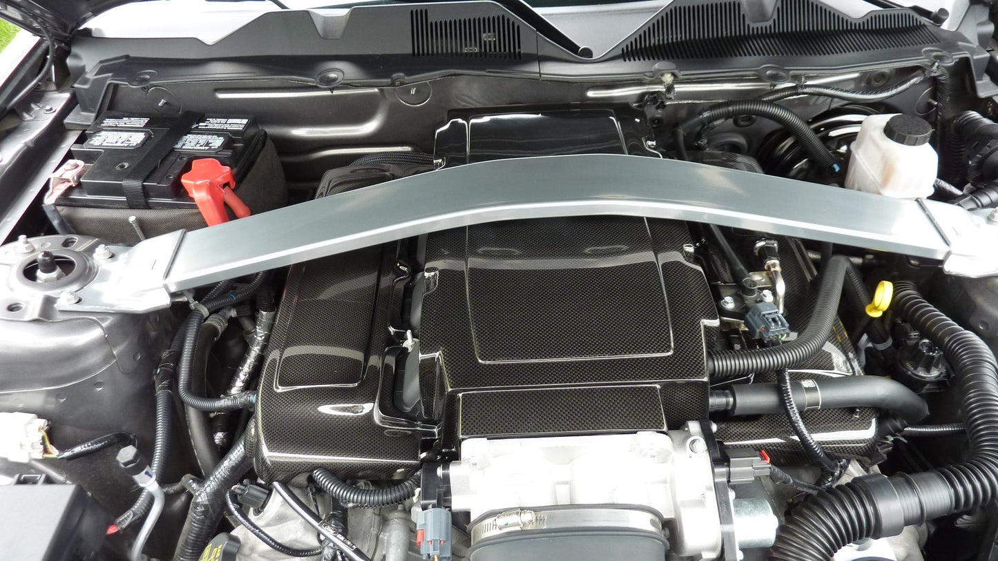 Carbon Fiber Ford Mustang GT Plenum Cover 2005-2009