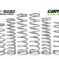 MTS Offroad Can-Am Maverick R Spring Kit