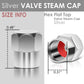 RT 163 Hex Flat Top Valve Caps - Silver