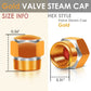 RT 181 Hex Shaved Edges Gold Valve Caps