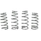 Whiteline Coil Springs - Lowered