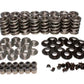 Comp Cams Kit, Dual Valve Spring, TS, LS Type