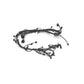 Ford Racing Coyote Engine to Manual Transmission Upfit Kit M-12000-M50