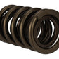 Ford Racing  Replacement Hydraulic Roller Valve Spring - Single (For M-6049-SCJA) M-6513-17341
