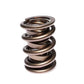 Comp Cams 1.625 CHR/SIL DBL SPRING