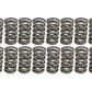 COMP Cams 1.301in OD Dual Springs 1.900in Installed Height (Set of 16) 26527-16