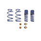 Ford Performance Parts Ford Racing 2012-2013 BOSS 302 Lowering Springs