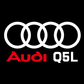 Audi e-tron Q5 Premium Door Puddle Lights Various Designs 2022 - 2026