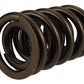 Ford Racing  Replacement Hydraulic Roller Valve Spring - Single (For M-6049-SCJA) M-6513-17341