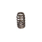 Comp Cams PERFORMANCE GM LS1 VALVE SPRING