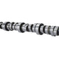 Ford Performance Parts Ford Racing Small Block V-8 Hydraulic Roller Tappet Camshafts