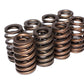 Comp Cams 1.240 Beehive Spring