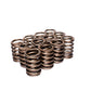 Comp Cams CHRYS 6 CYL REPL SPRING