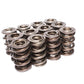 COMP Cams Valve Springs 2.100in Triple D 26082-12