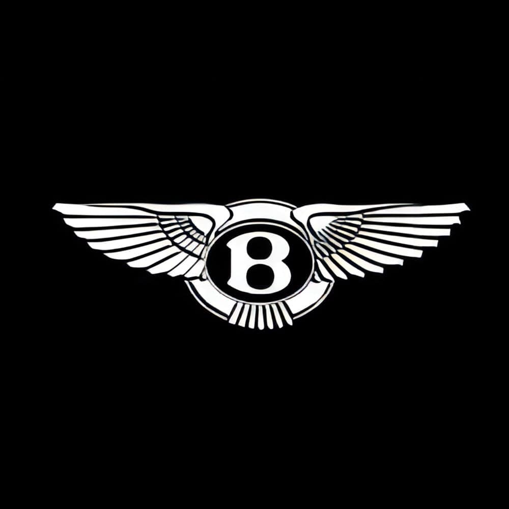Bentley Continental GT Premium Door Puddle Lights Various Designs 2003-2026