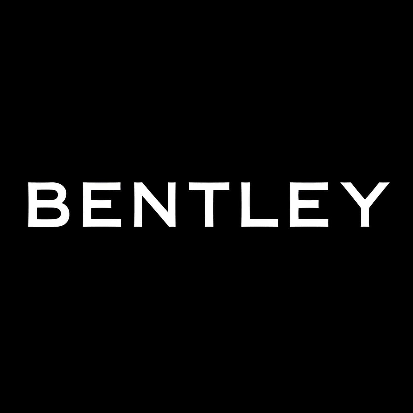Bentley Flying Spur Premium Door Puddle Lights Various Designs 2005-2026