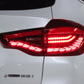 BMW X3 G01 iX3 G08 LED GTS / Dragon Scale Style Taillights (Red or Black) (2019-2022)