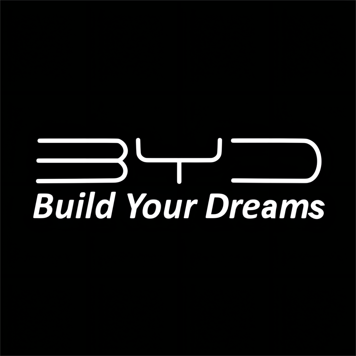 BYD Tang 3rd Gen Premium Door Puddle Lights Various Designs 2021-2024