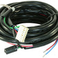 AEM Sensor Harness for Temperature Gauge (30-4402) 30-3404