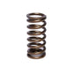 Comp Cams 1.025 INNER