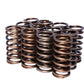 COMP Cams Valve Springs 0.940in Inner B 974-12