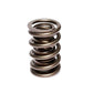 Comp Cams 1.550 2 Spring Assembly