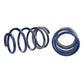 Ford Performance Parts Ford Racing 2005-2014 Mustang GT 1.0in. Track Lowering Springs