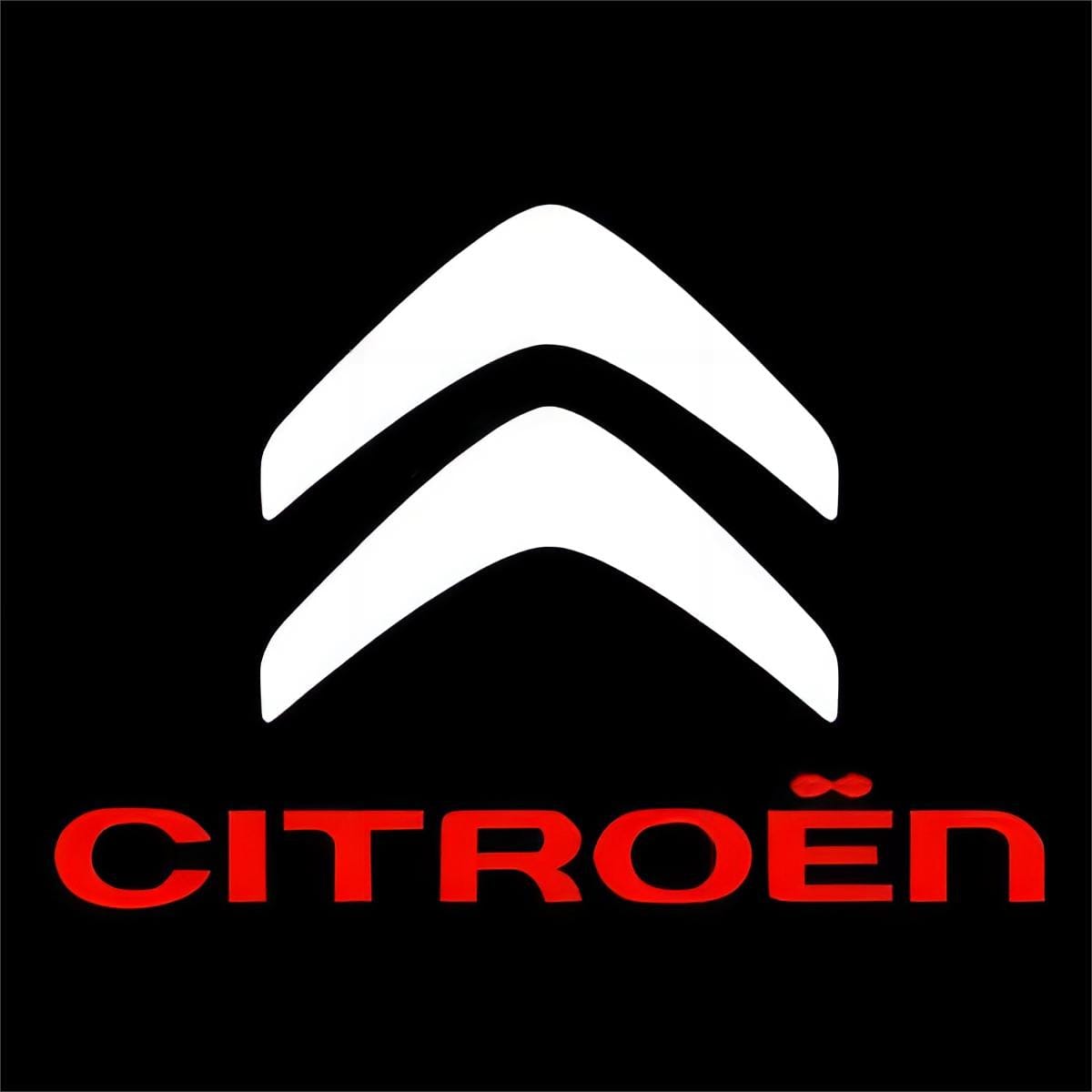 Citroen Picasso Premium Door Puddle Lights Various Designs - 2012-2013
