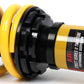 BLOX Racing 92-00 Honda Civic / 94-01 Integra (ex TypeR)  Non-Adj Damping Street Series II Coilovers BXSS-02115