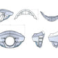 Burly Brand Touring Sport Fairing Tall B10-2003