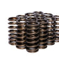 COMP Cams Valve Springs 0.970in Inner 973-12
