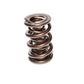 Comp Cams 2.100" TRIPLE DRAG RACE SPRING